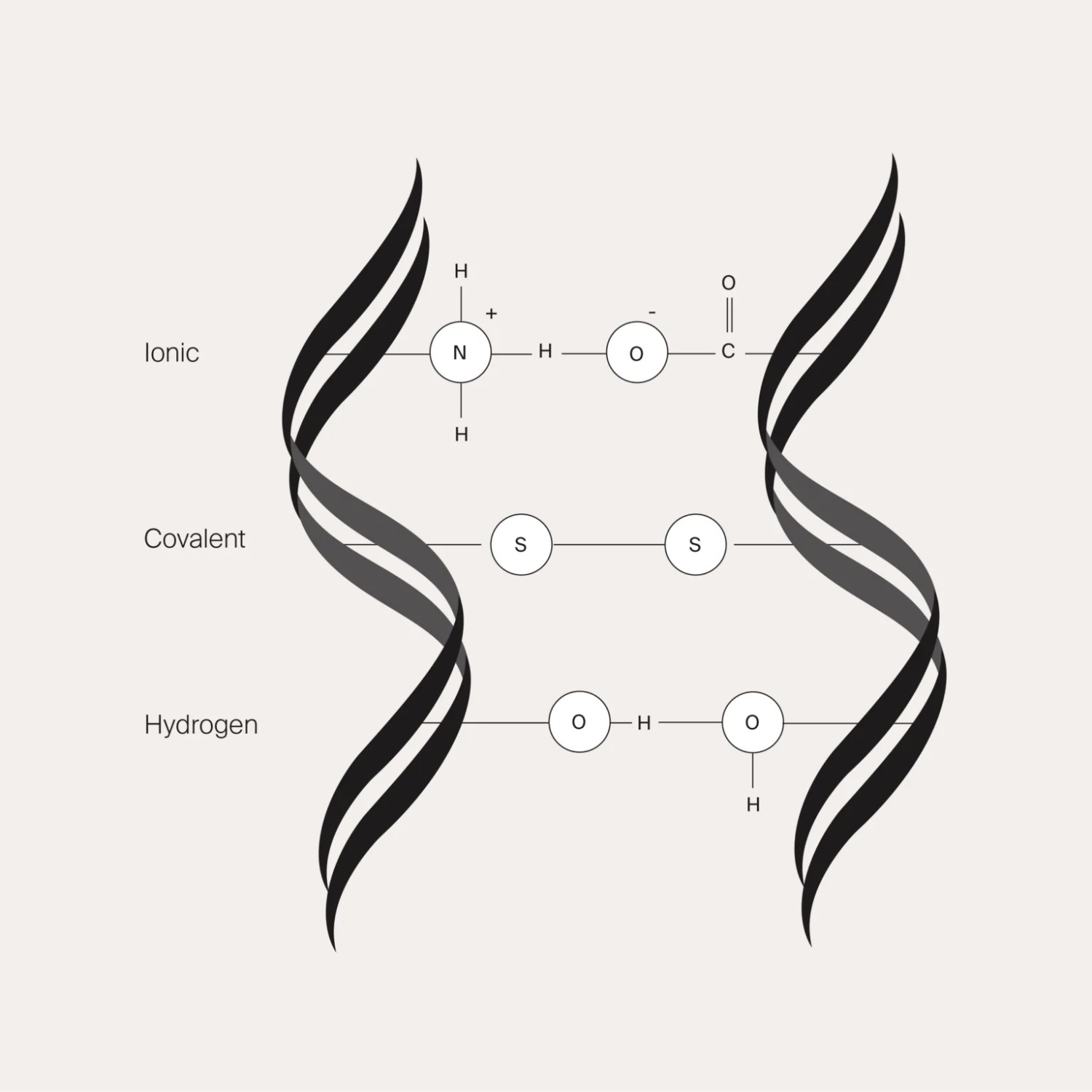 Molekulare Struktur des Haares: Hauptverbindungen und Haarreparatur