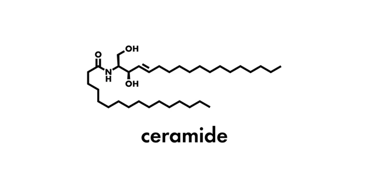Ceramide