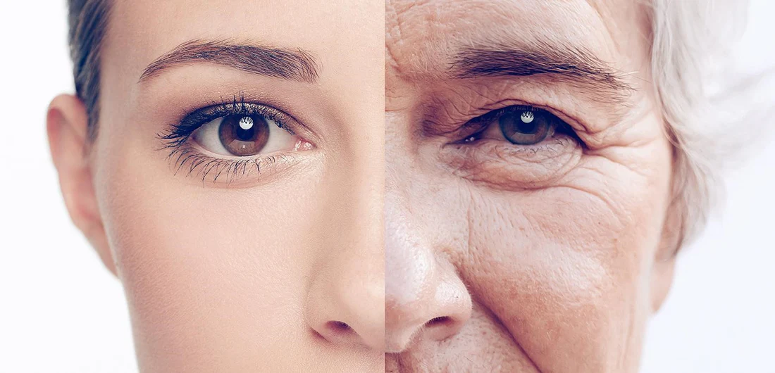 Hautalterung / Anti-Aging